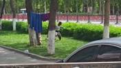 葡法大战有来有回C罗vs姆巴佩，树上还挂着巴萨的球衣🤣
