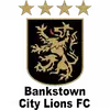 本克斯拓城狮队U20